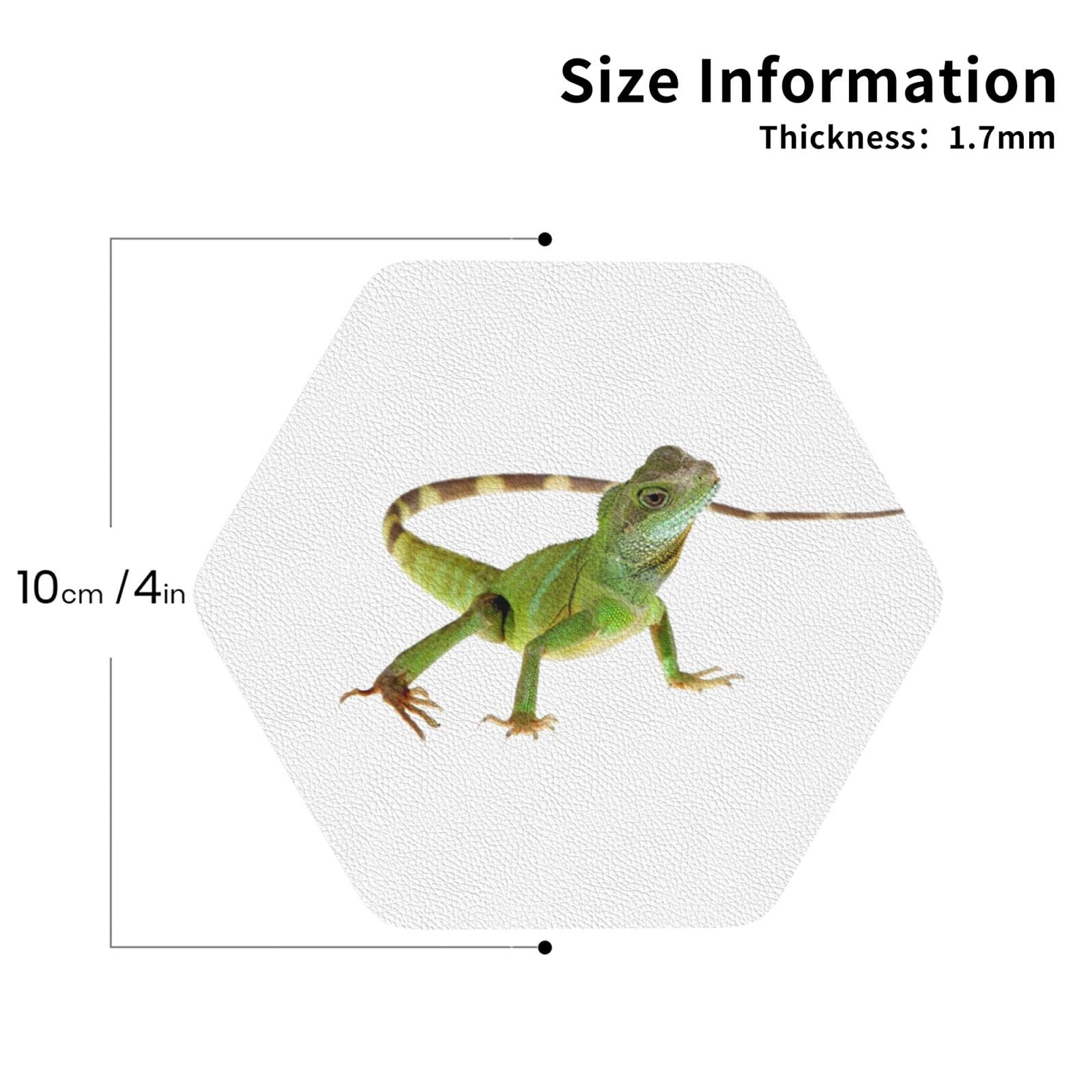 トカゲモドキコースター コースター ヒョウモントカゲモドキ | iichi 日々の暮らしを